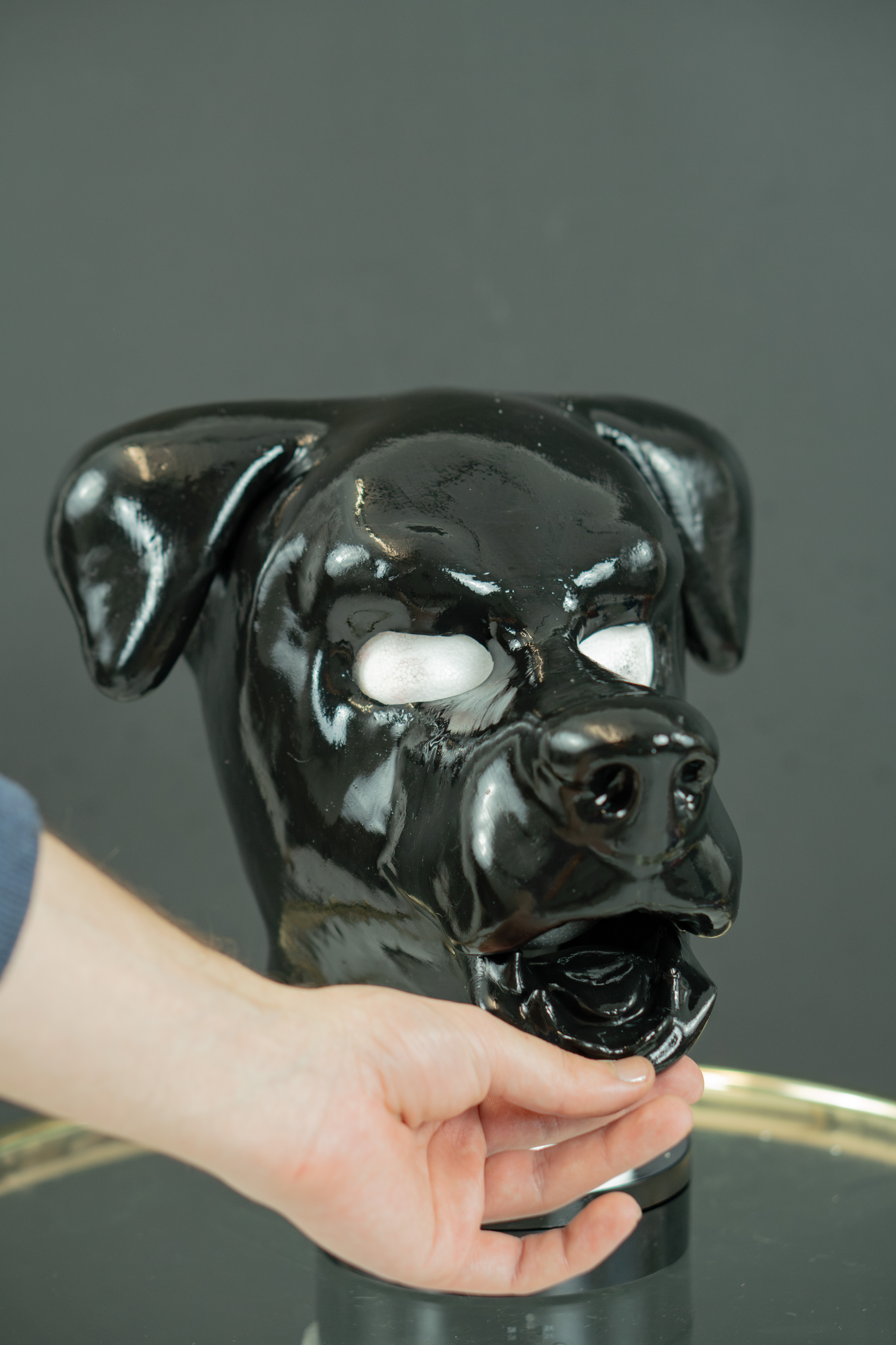 Schlappohr Hund