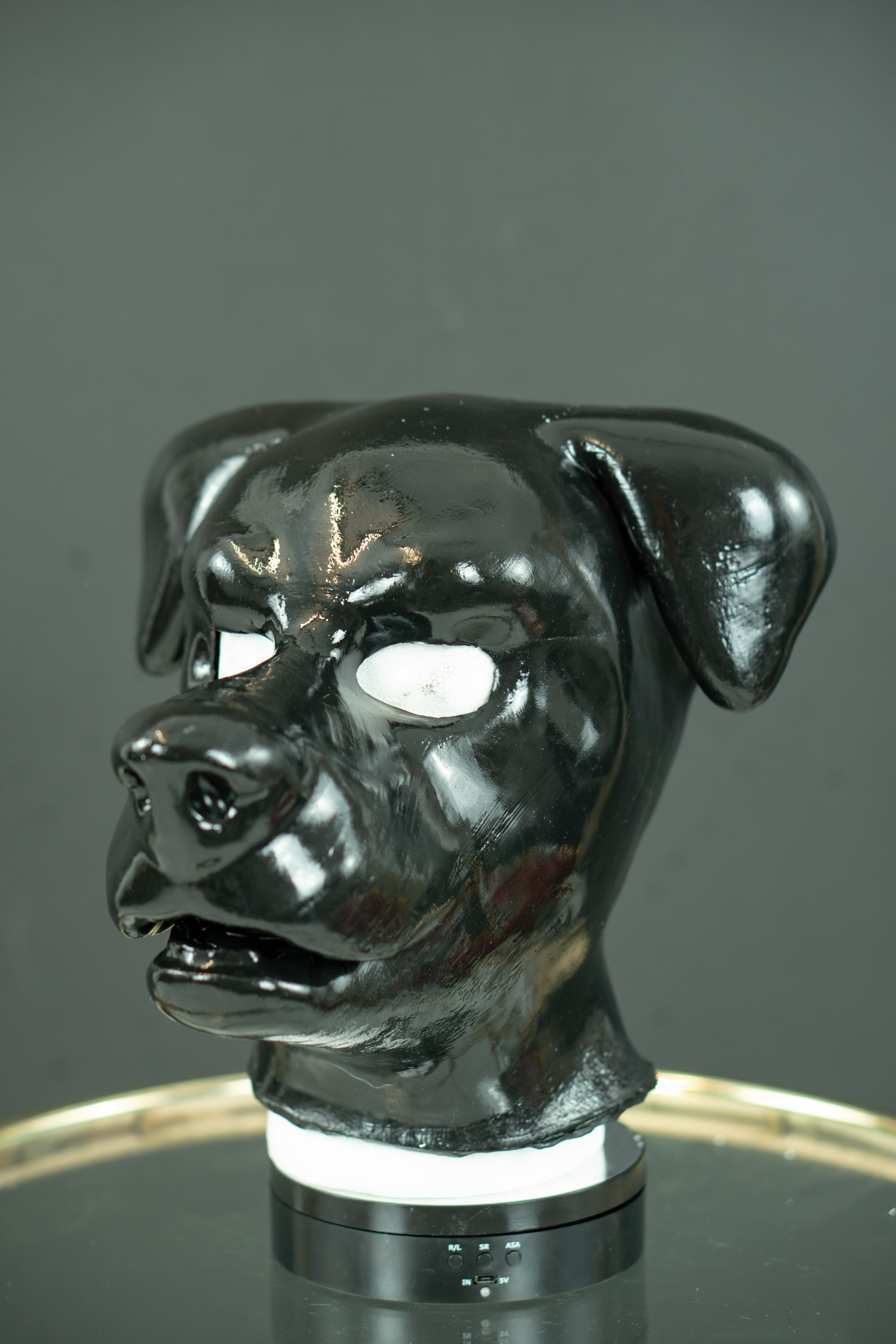 Schlappohr Hund